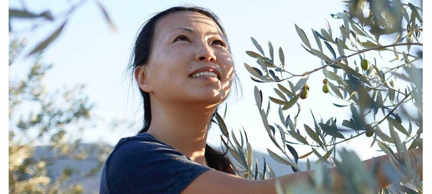 Article Page Investment Program Banner